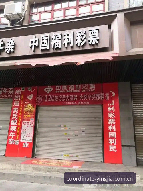 盈嘉体育彩票投注平台评测使用指南 盈嘉体育彩票投注平台评测使用指南:3个实测技巧帮你避开新手坑