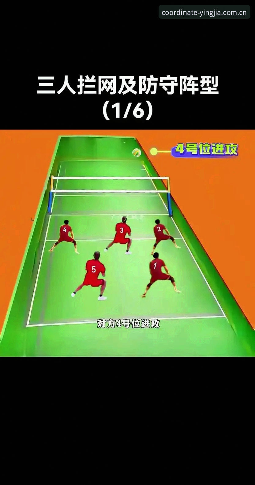 盈嘉体育 YJSports CN 数据对比 揭秘盈嘉体育 YJSports CN 数据对比:从直播覆盖到投注评测的底层逻辑